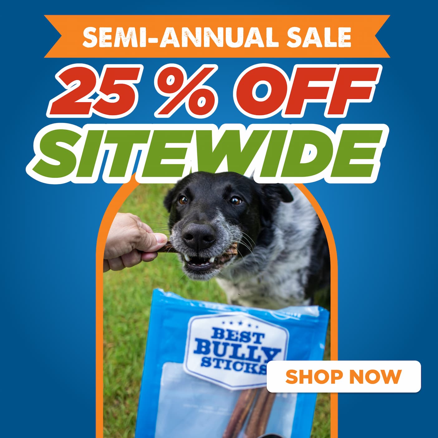 25% off sitewide - semi annual sale shop now