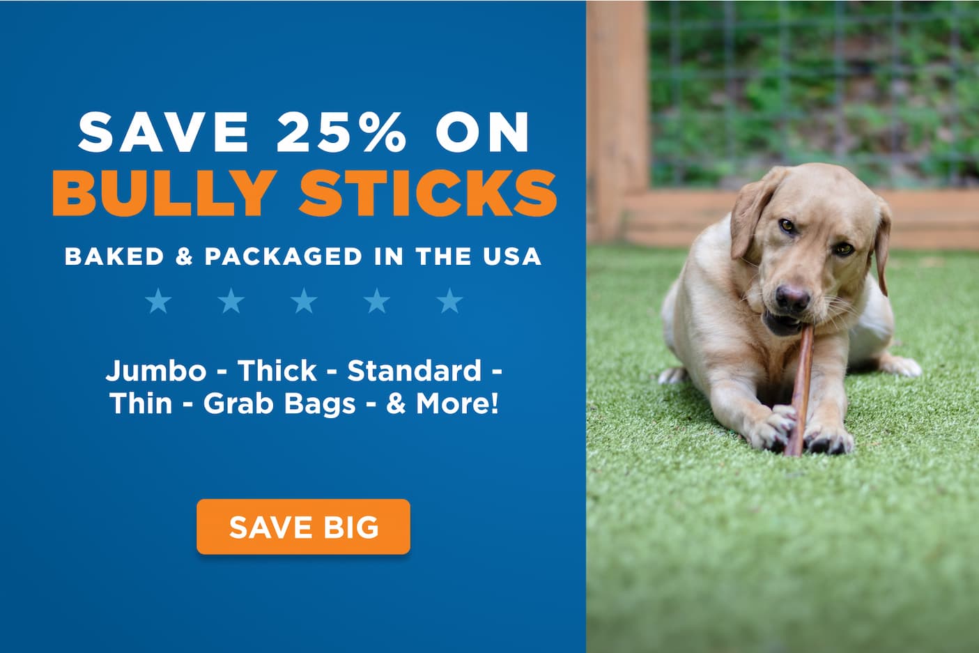 save 25% on bully sticks