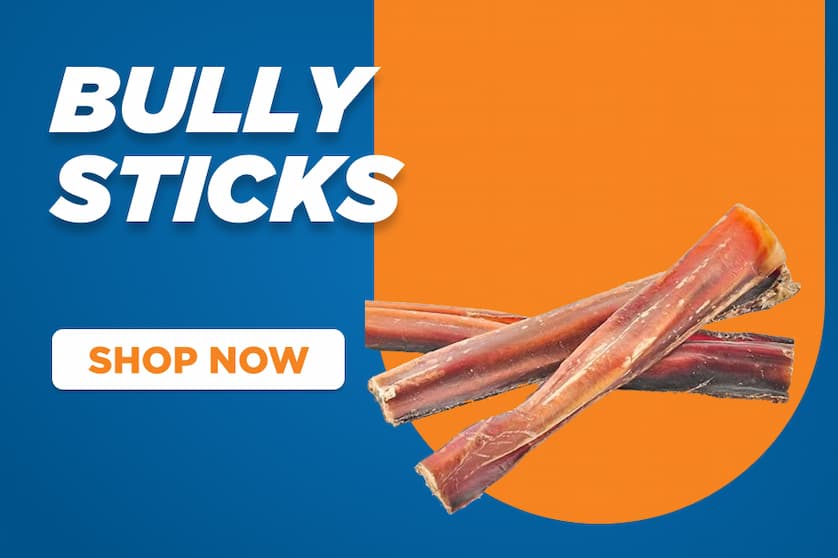 bully sticks - shop now