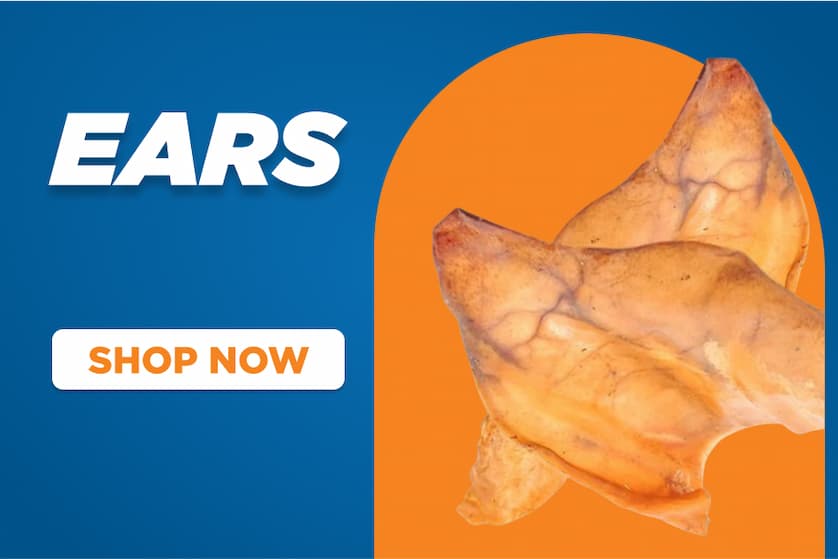 ears - shop now