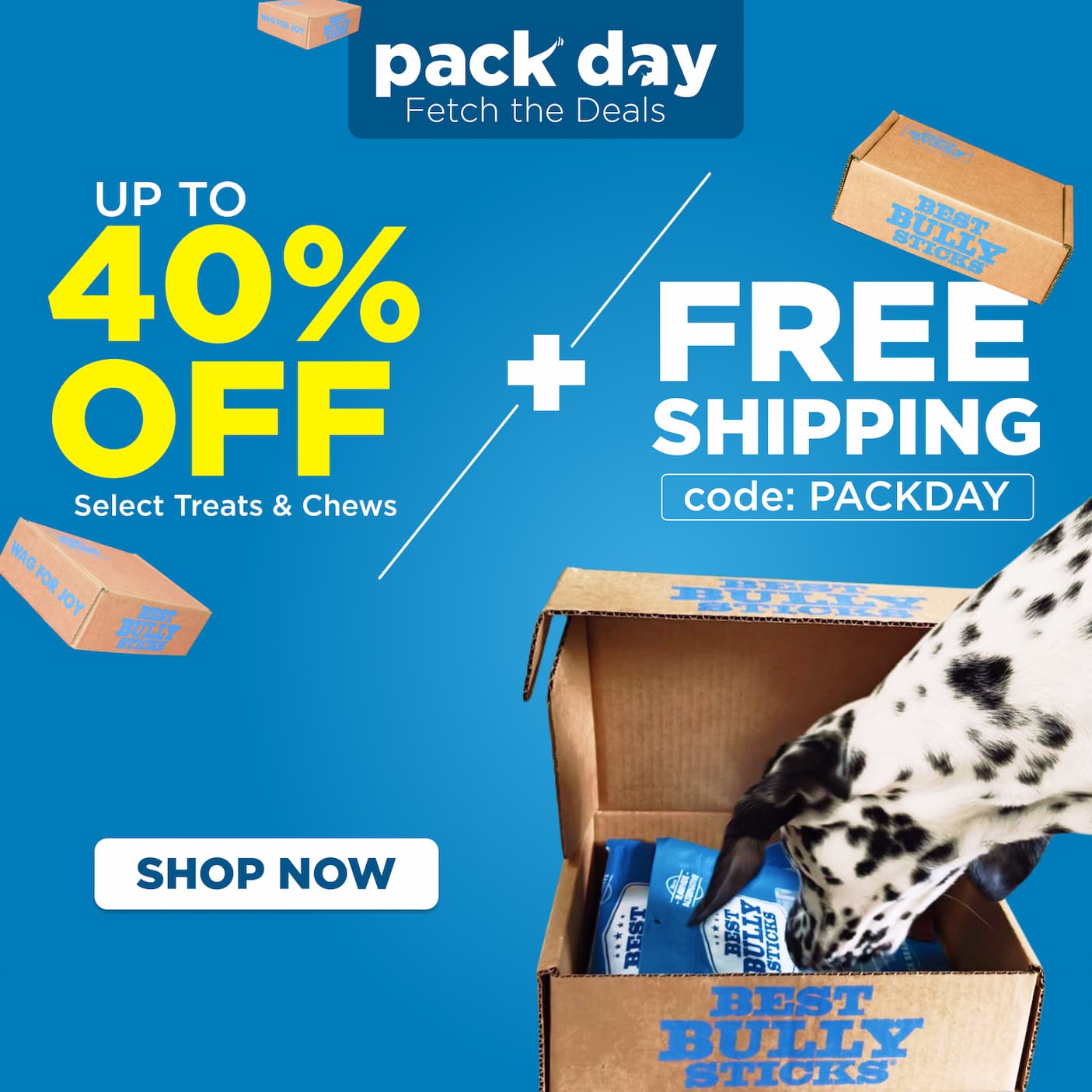 pack day deals up to 40% off free shipping with code PACKDAY shop now