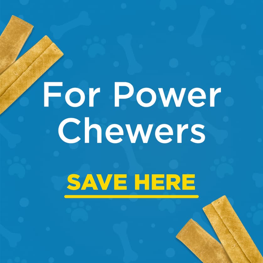 for power chewers save here 