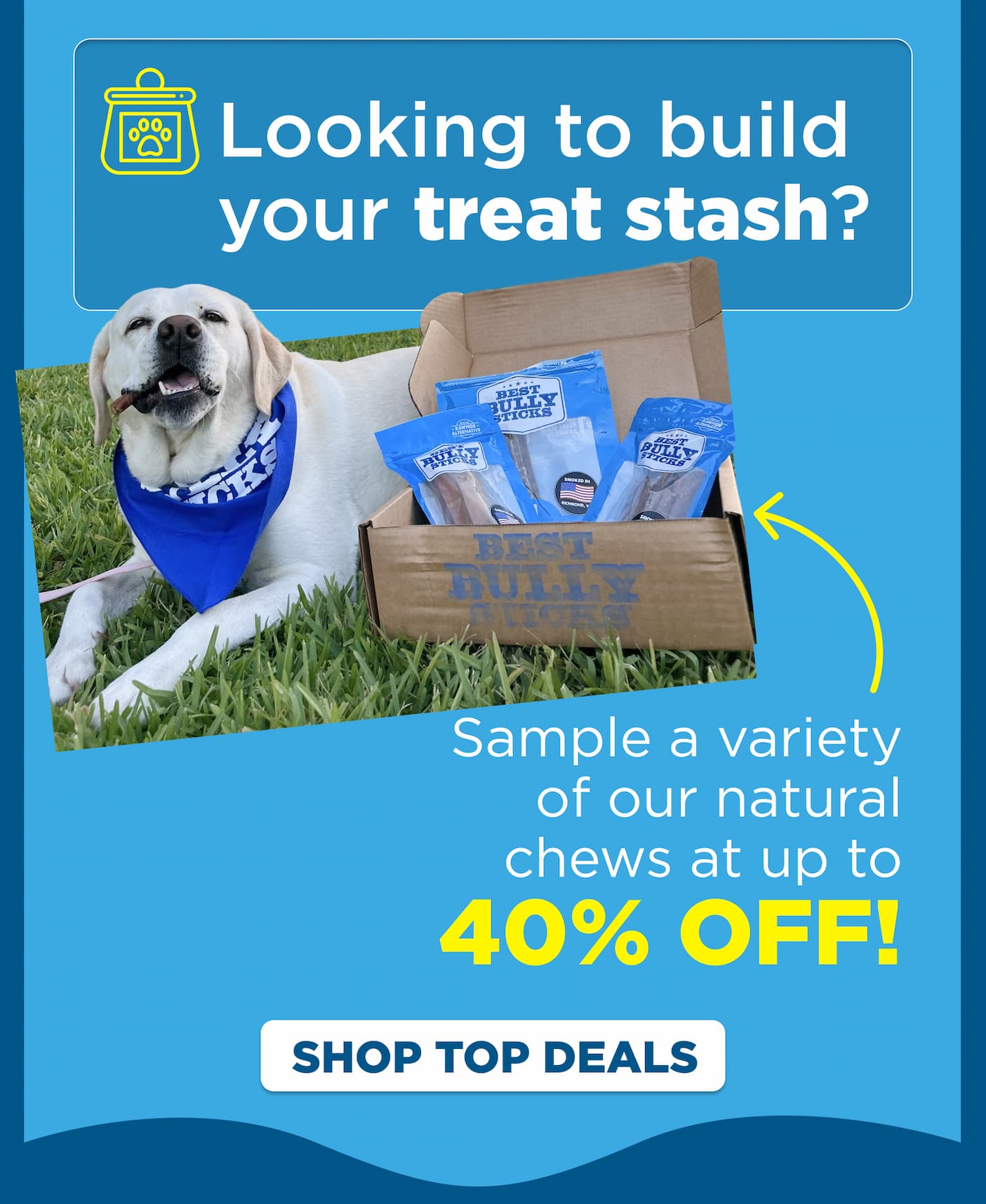 try our natural chews at up to 40% off 