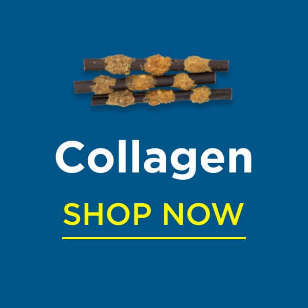 collagen shop now