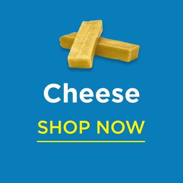 cheese shop now