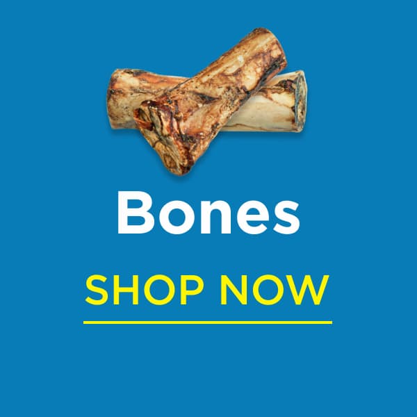 bones shop now