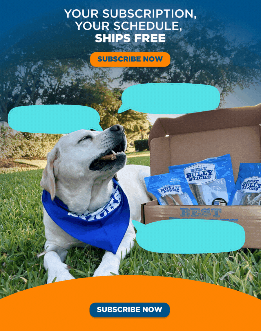 you subscription, your schedule, ships free - subscribe now 