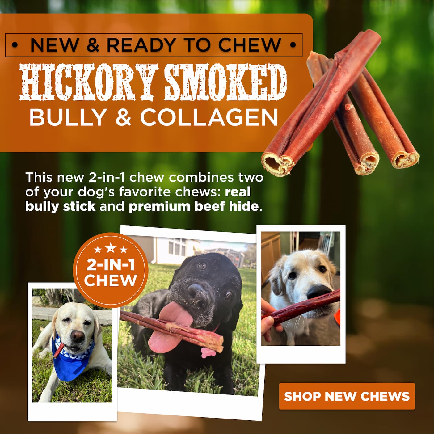 NEW HICKORY SMOKED BULLY & COLLAGEN