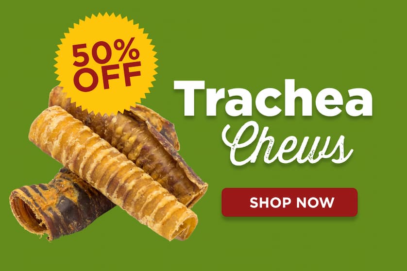 50% off trachea chews - shop now