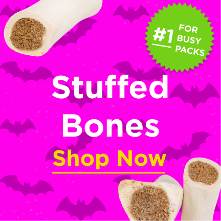 stuffed bones are 31% off