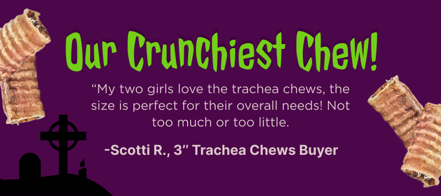 our crunchiest chew - 3'' Trachea chews buyer