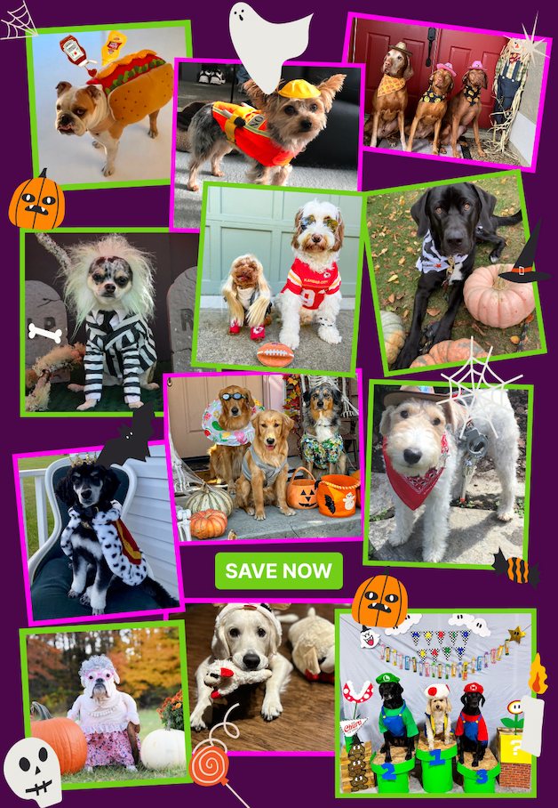 save now on favorites