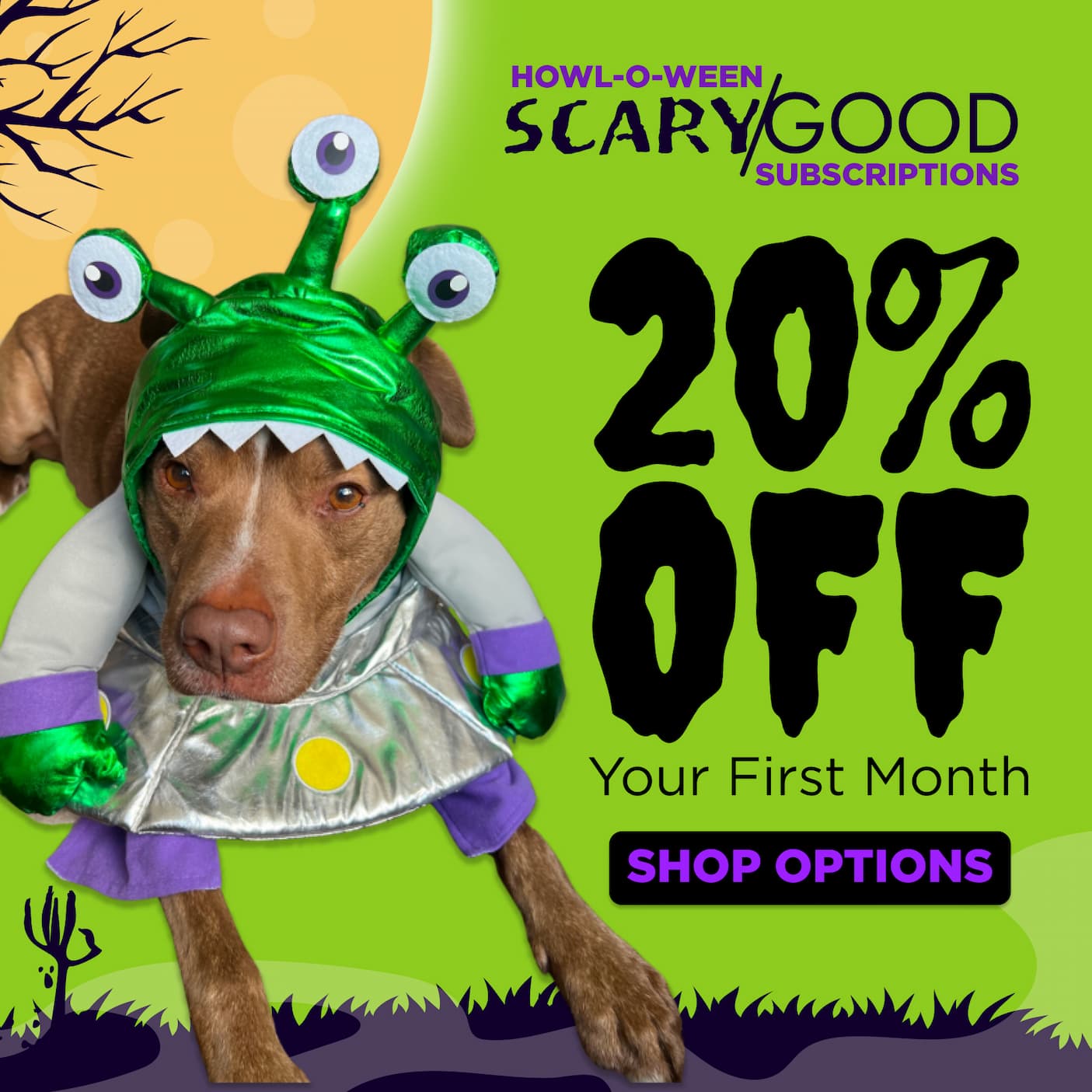 20% off new subscriptions when you subscribe today