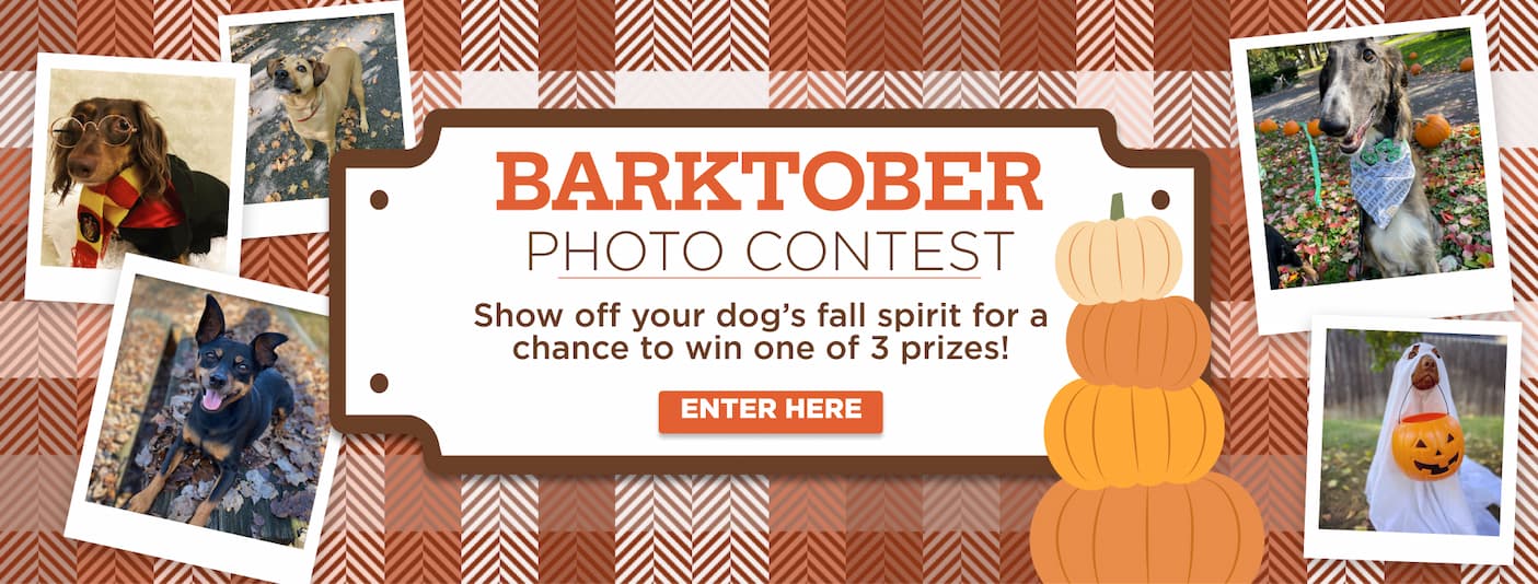 barktober show off your dog's fall spirit for a chance to win 1 of 3 prizes enter here