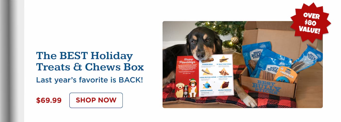 the BEST chews and treats holiday box