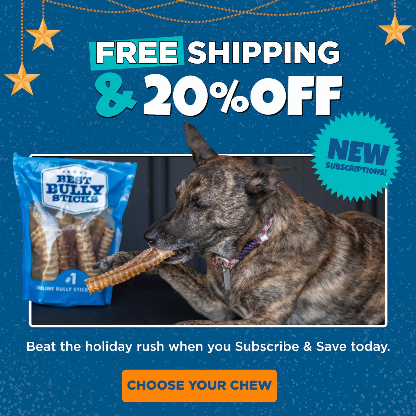 subscription program - free shipping, 20% off first order, 10% off recurring