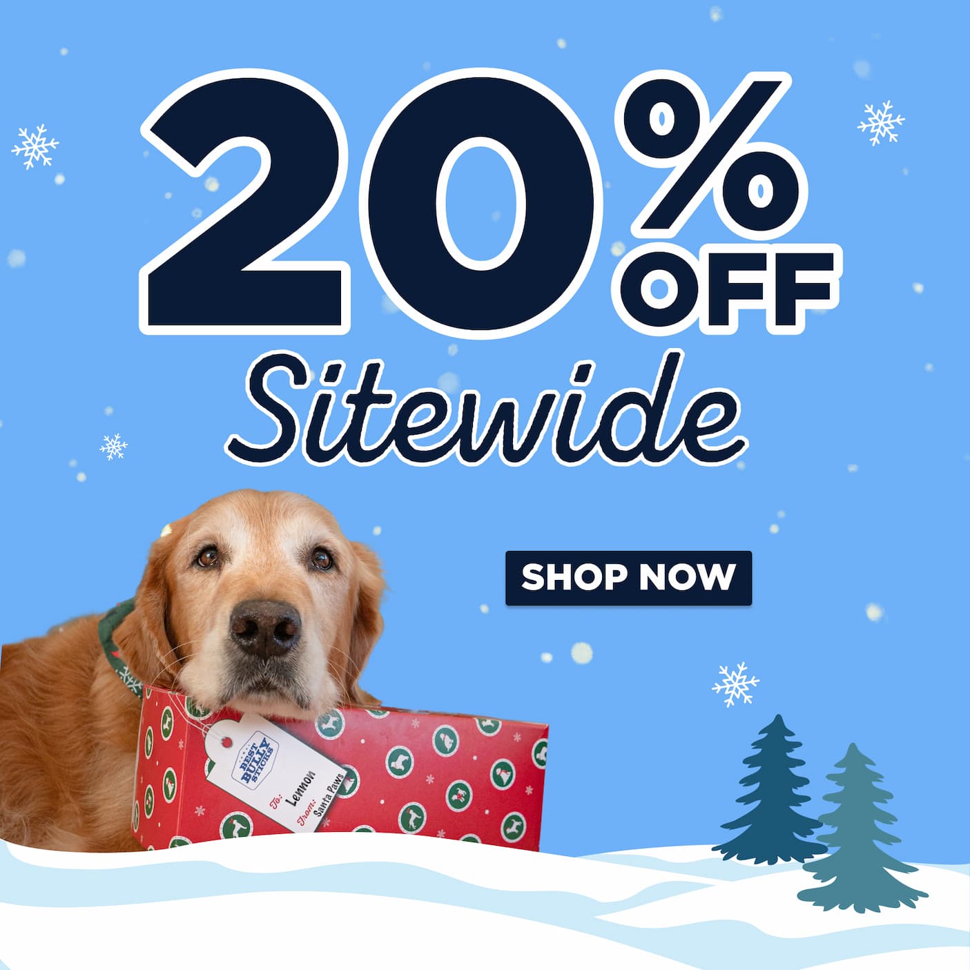 20% off sitewide shop now