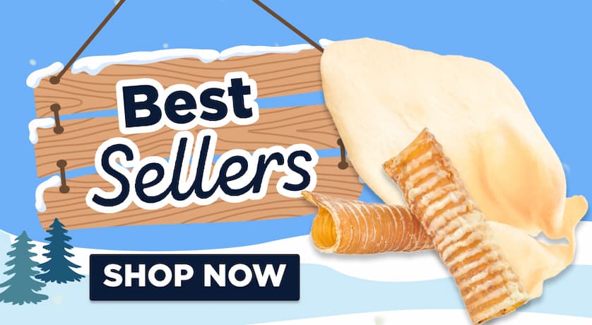 best sellers shop now