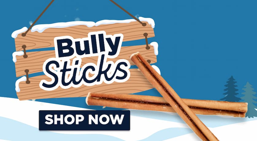 bully sticks shop now