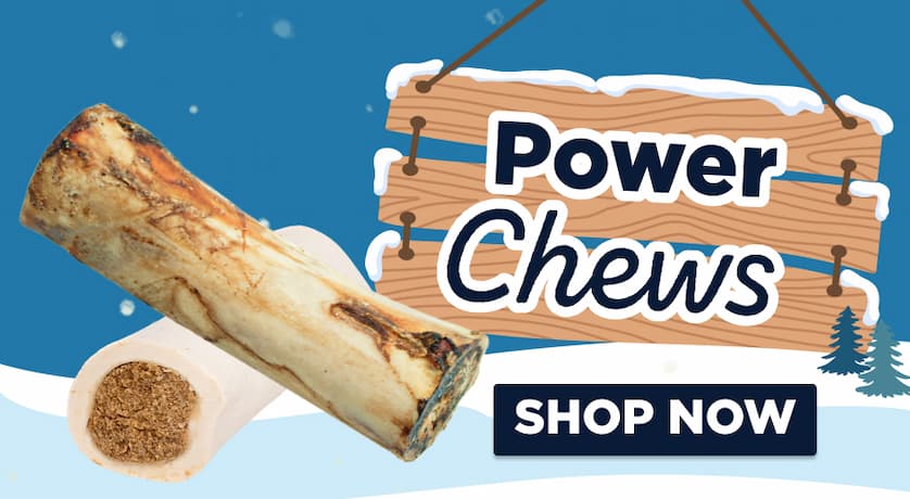 power chews shop now
