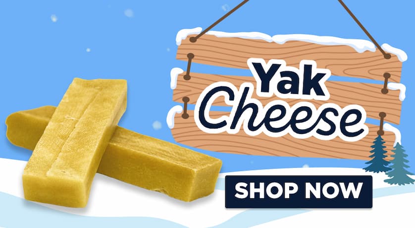 yak cheese shop now