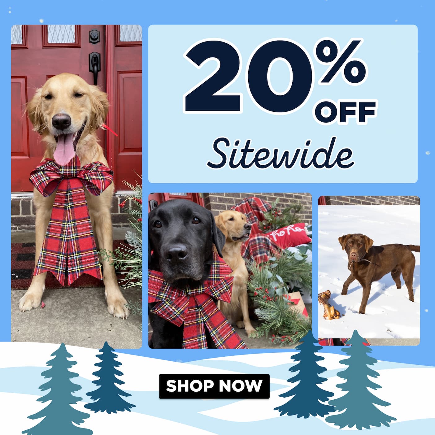 20% off sitewide shop now