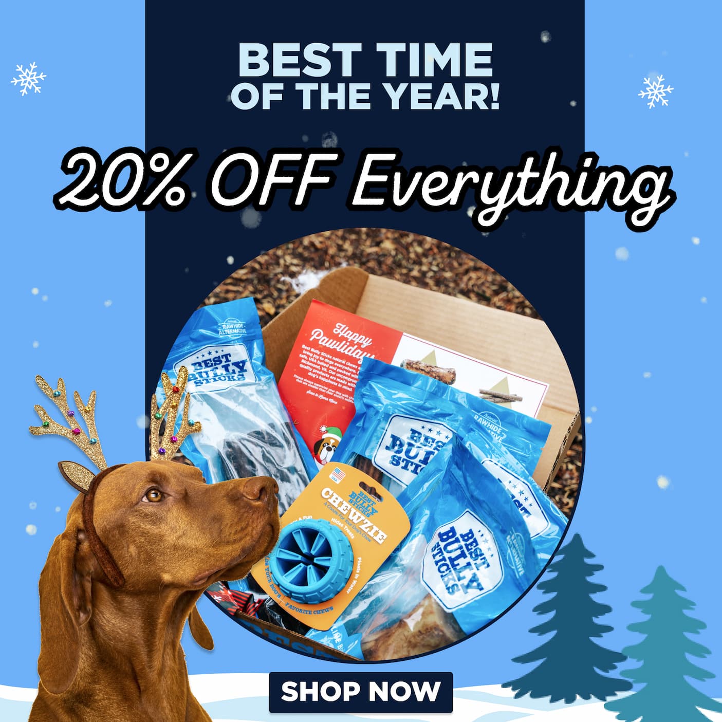 20% off sitewide shop now