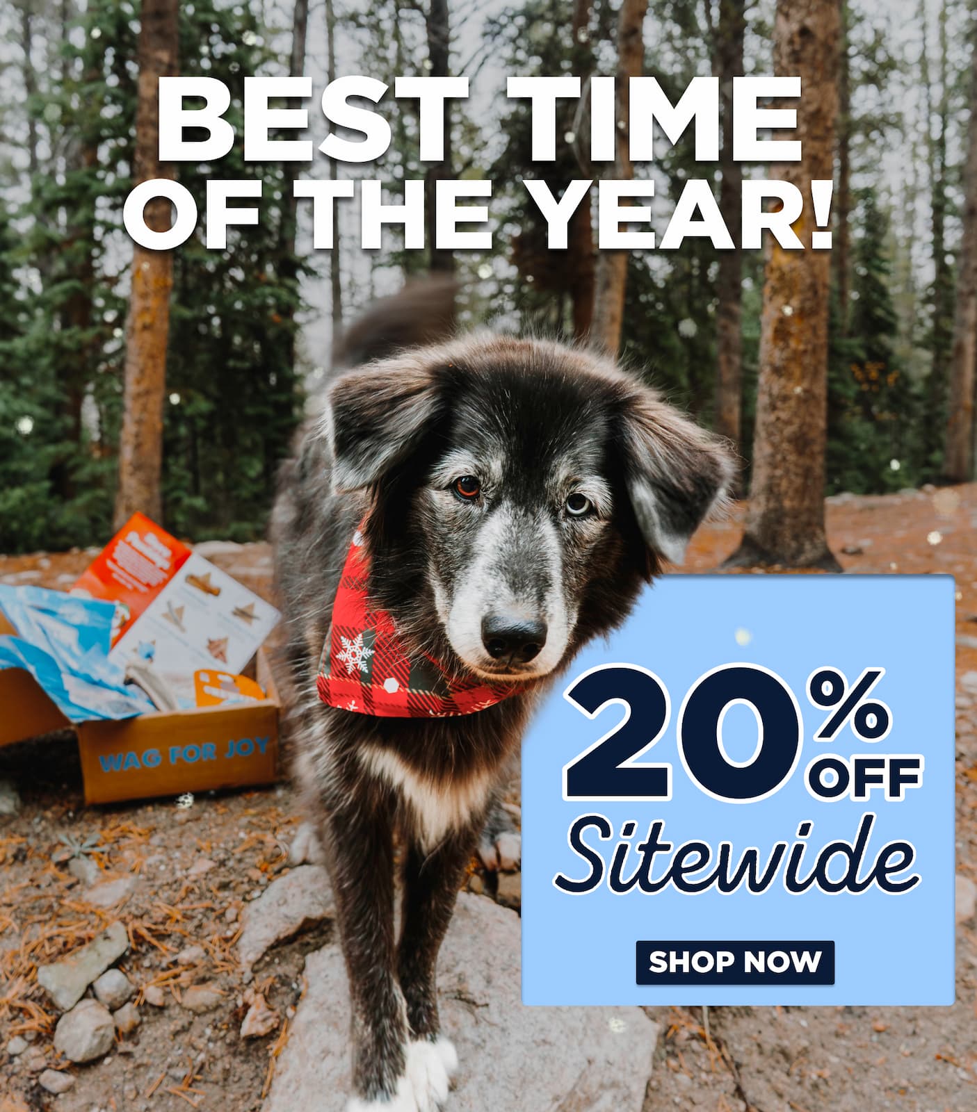 shop the bestselling chews all 20% off