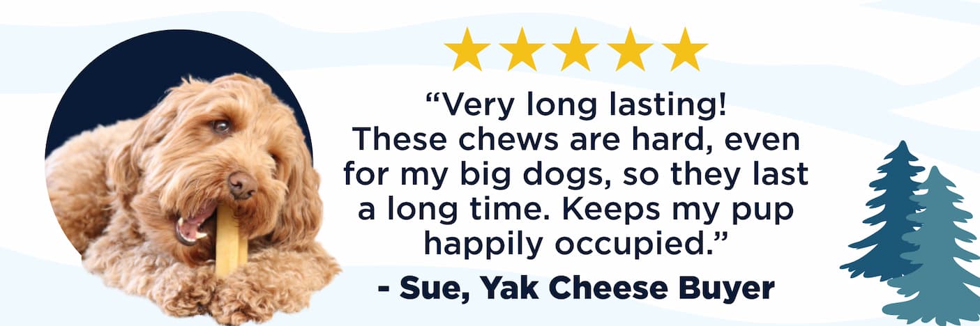 yak cheese review