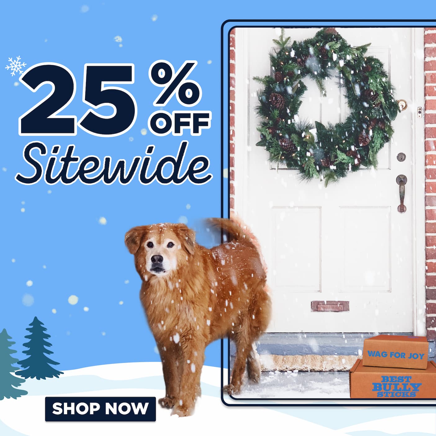 25% off sitewide