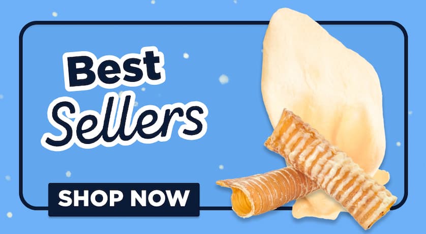 best sellers shop now