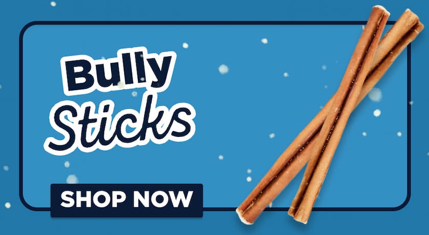 bully sticks shop now