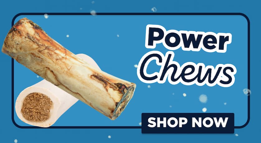 power chews - shop now