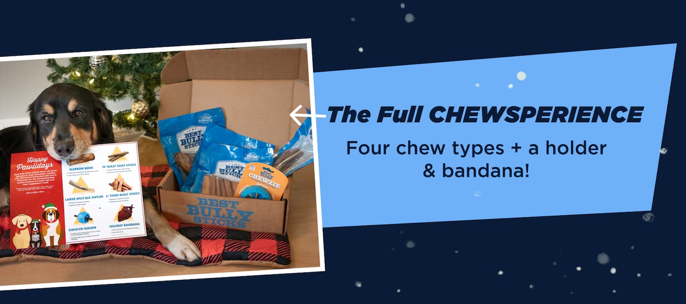 four chew types + a holder & bandana 