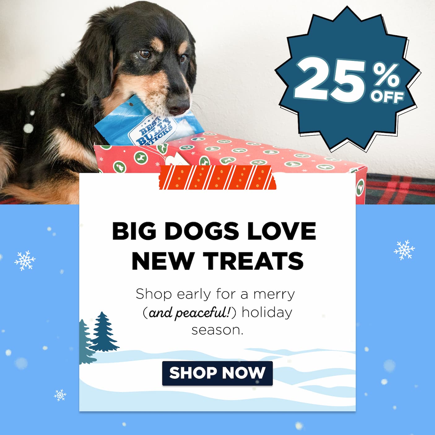25% off big dogs love new treats