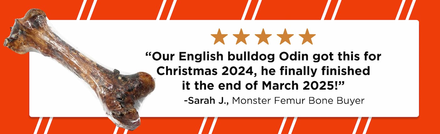 monster femur bone review
