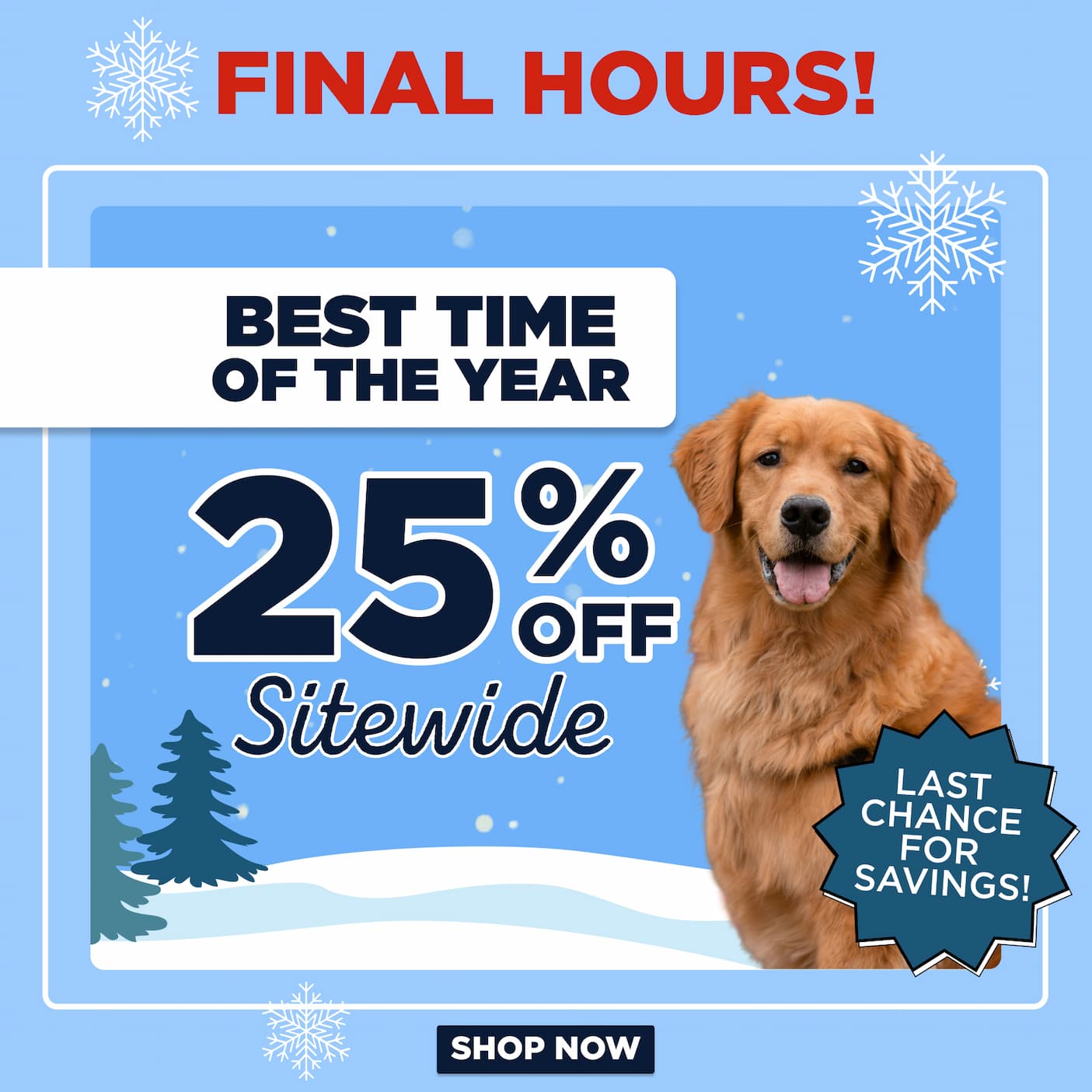 20% off sitewide last chance! shop now