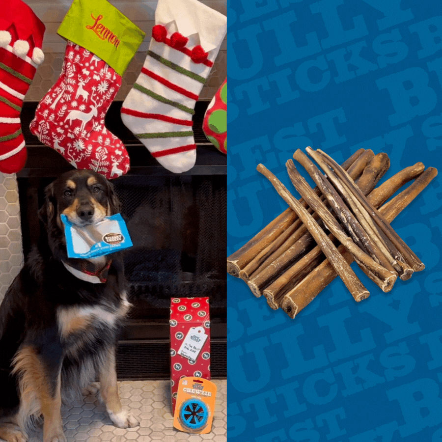 gif of a dog with best bully sticks