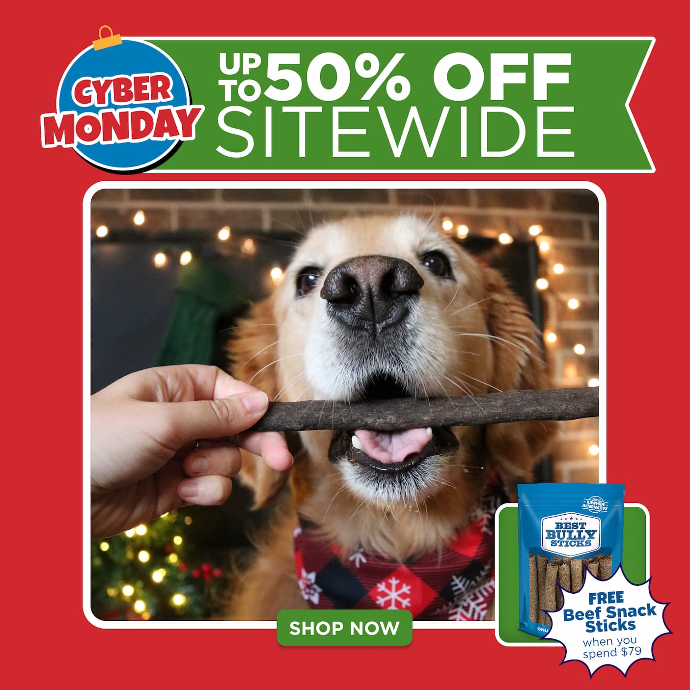 cyber monday up to 50% off everything