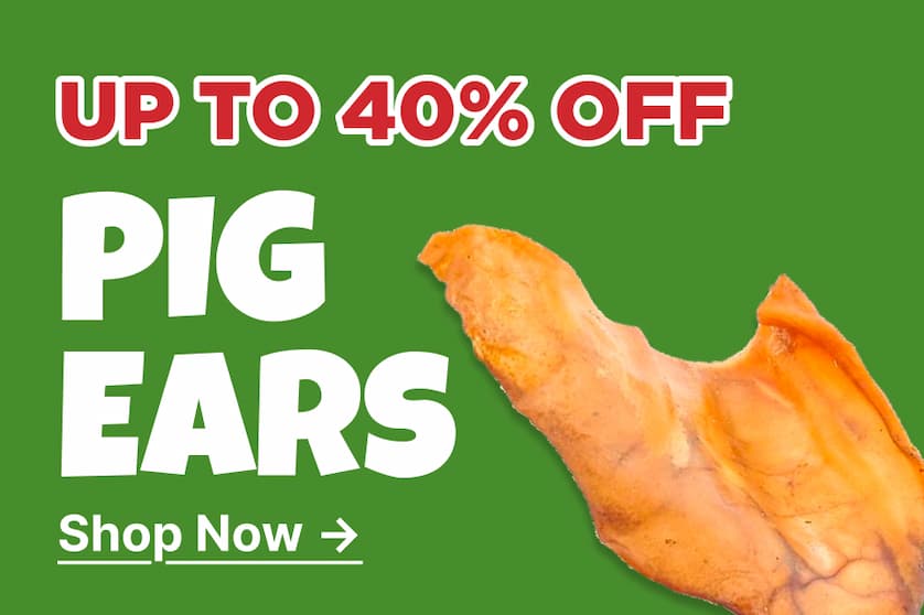 up to 40% off pig ears shop now