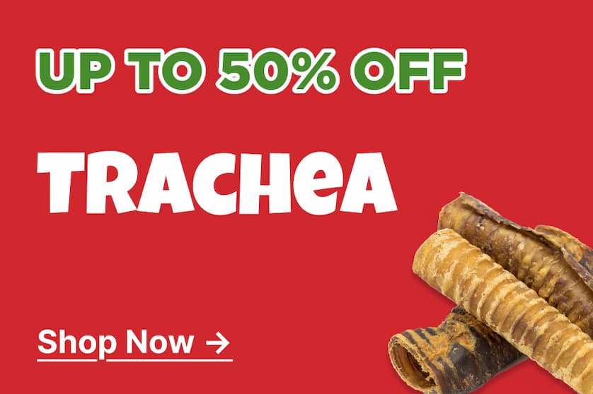 up to 50% off trachea shop now