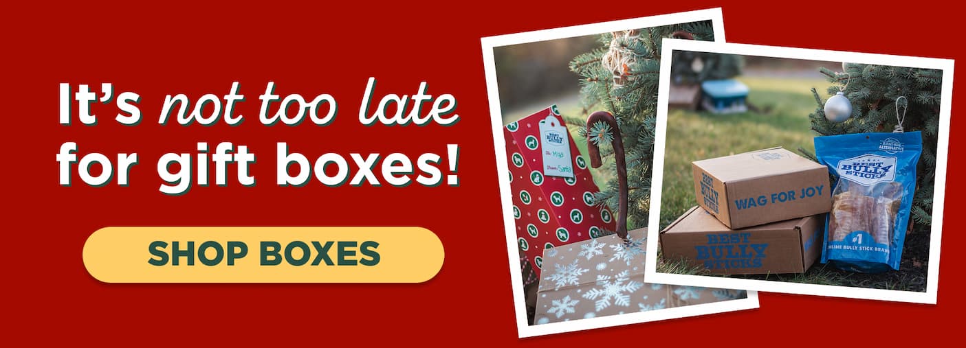 it's not too late for gift boxes!