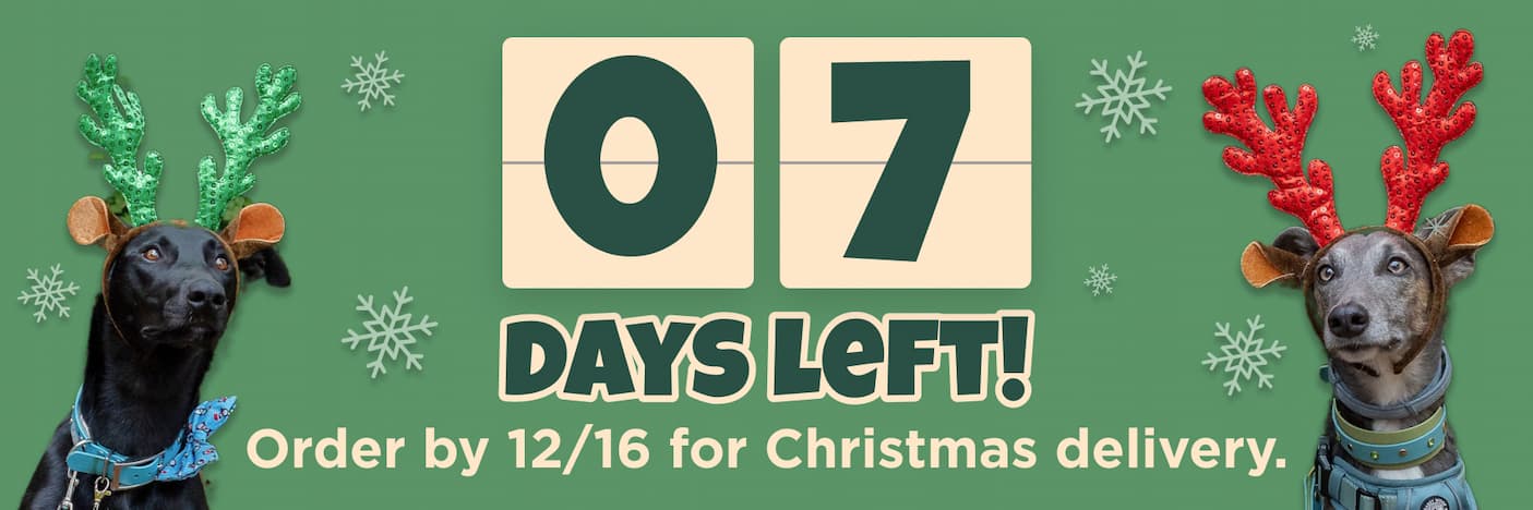 7 days left for christmas delivery