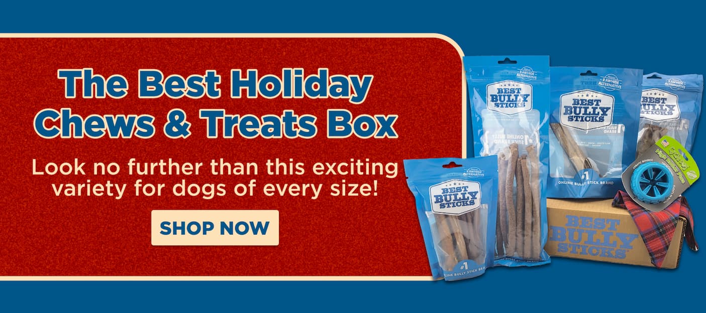 the best holiday chew box