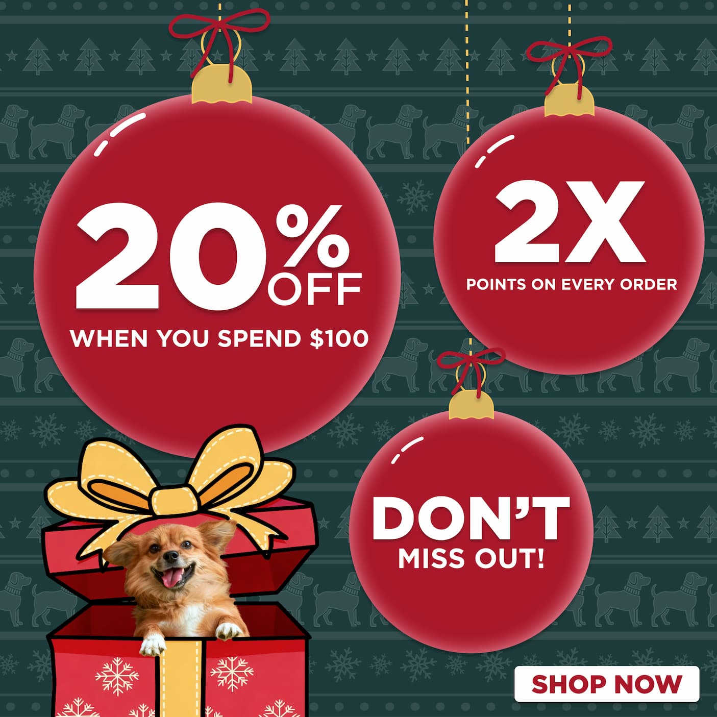 20% off $100 purchases +2x points on your purchase