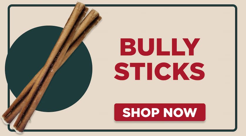 bully sticks - shop now