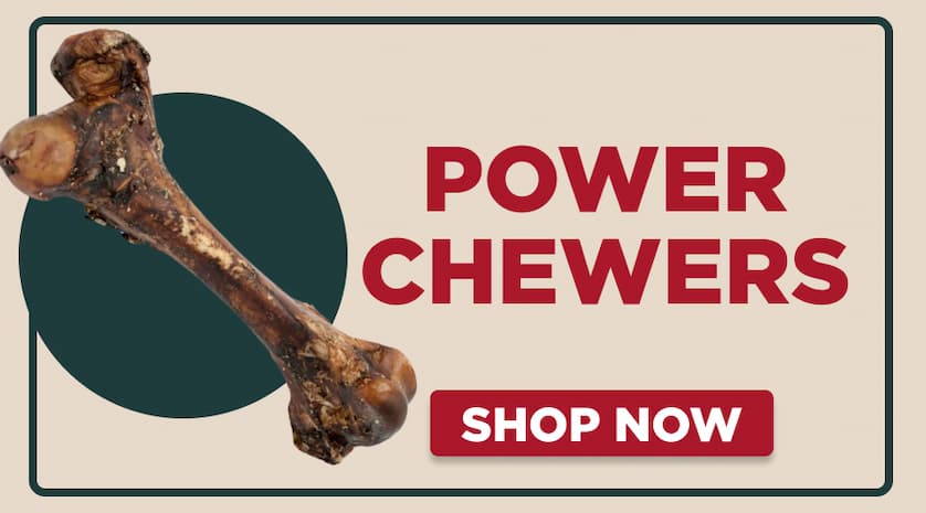 power chewers shop now