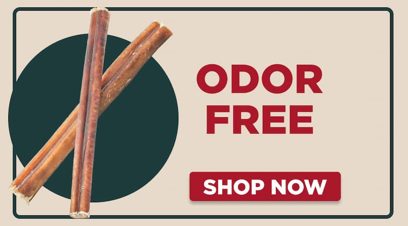 odor free - shop now
