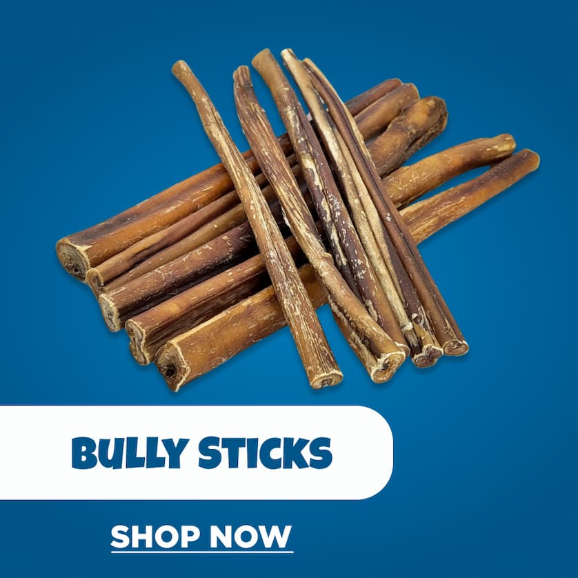 bully sticks shop now
