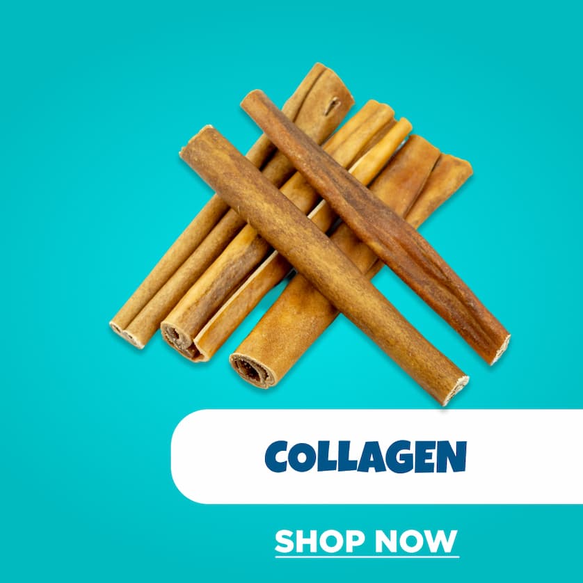 collagen shop now